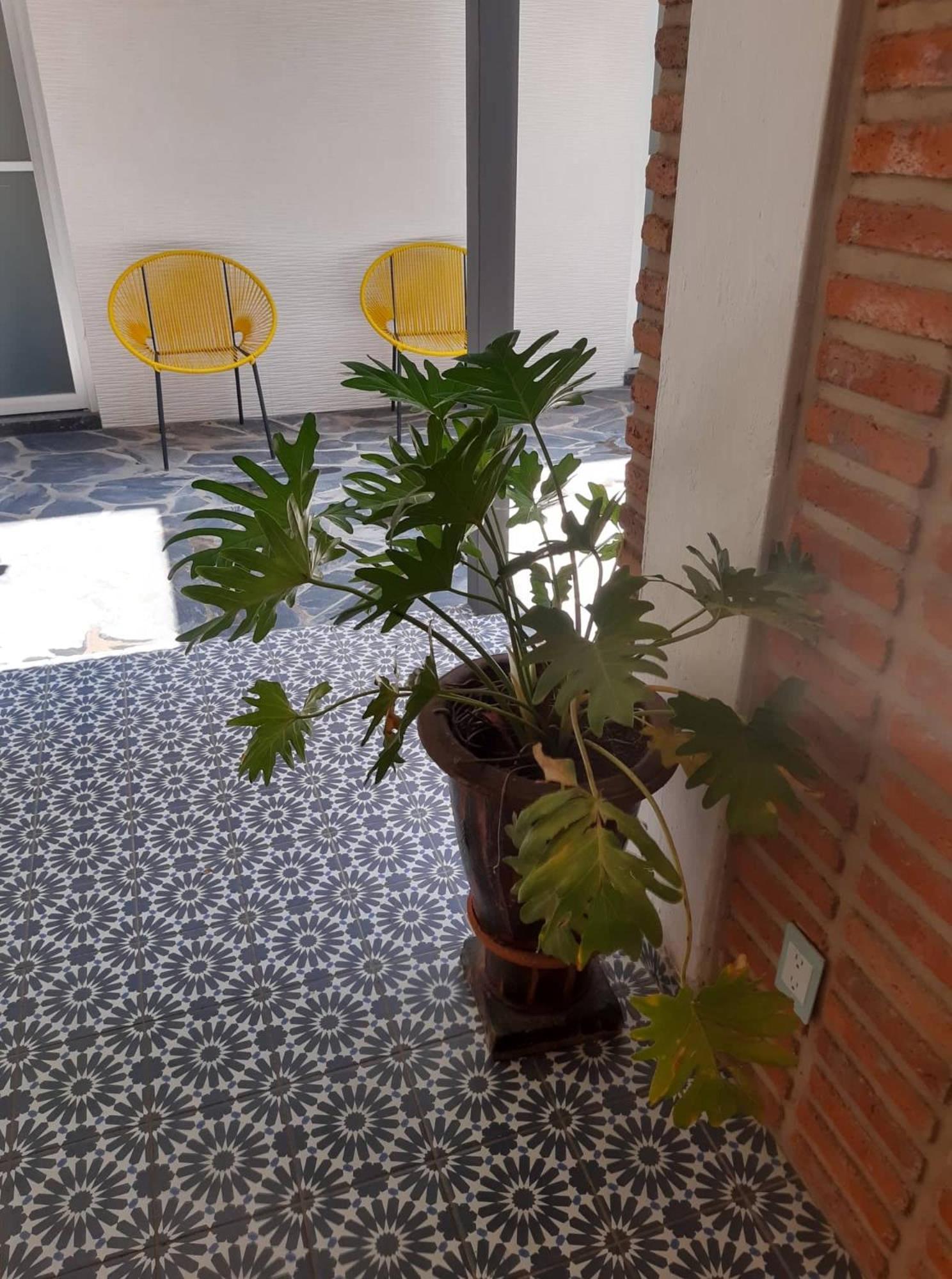 Estudio #5 Casa Fatima, 8 Min Del Centro 1 Persona Guadalajara Dış mekan fotoğraf